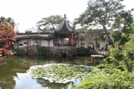 Chinese garden, one of raw photos later used for HDR processing, thumbnail