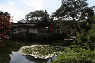 Chinese garden, one of raw photos later used for HDR processing, thumbnail