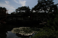 Chinese garden, one of raw photos later used for HDR processing, thumbnail